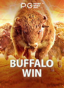 แจกเครดิตฟรี ค่า สิ โน สำหรับนักเดิมพันทุกคน